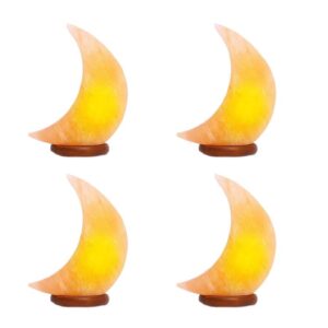 Moon Salt Lamp