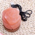 Flower USB Salt Lamp