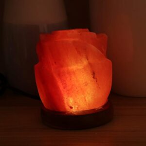 Flower USB Salt Lamp