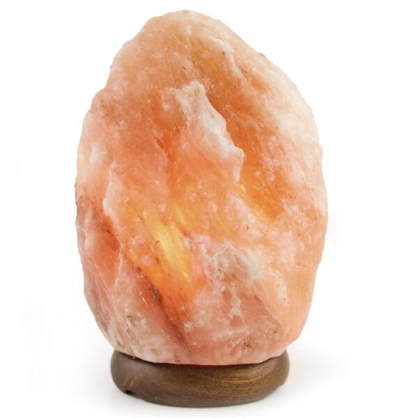 Himalayan Salt Lamps 7 9 Kg